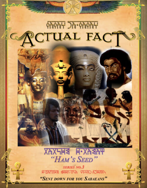 Actual Fact #3